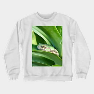 Frog Bliss Crewneck Sweatshirt